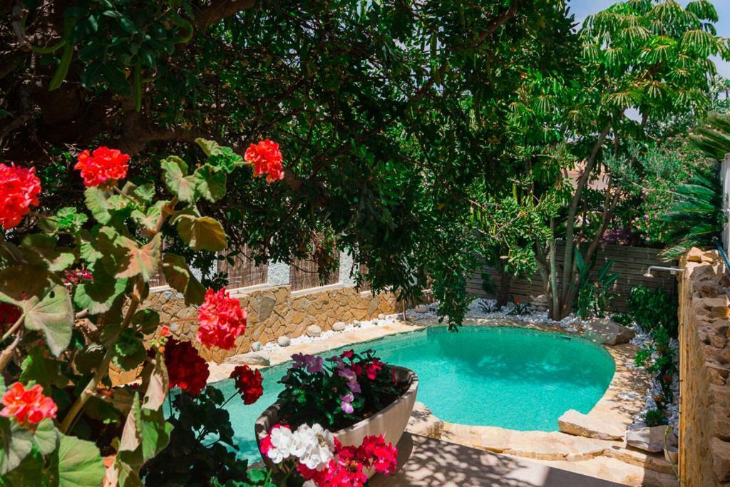Bright Villa With Salt Water Pool El Campello Zewnętrze zdjęcie